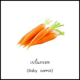 เมล็ดเบบี้แครอท (Baby carrot) 100 เมล็ด [10 แถม 1 คละได้]