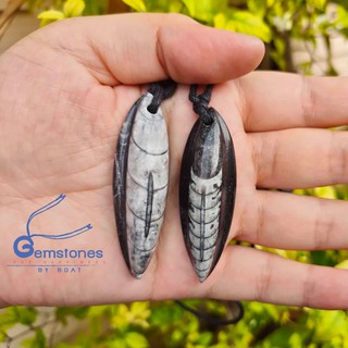 Gemstones By Boat :จี้ฟอสซิล ออโทเซอรัส : Orthoceras