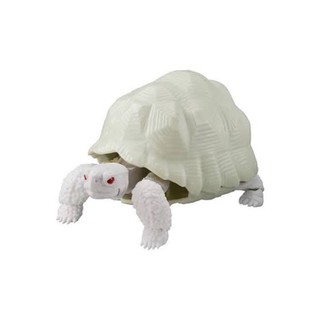 Bandai Gashapon Tortoise Action Figure Greek Tortoise Albino Japan