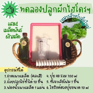 ใหม่ล่าสุด! ชุดอุปกรณ์ทดลองปลุกผักไฮโดร ปลูกผักไฮโดรโปรนิกส์สำหรับมือใหม่ แถมเมล็ดทุกออเดอร์