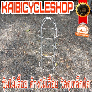 KAIbicycleshop โครงไม้เลื้อย กระโจมไม้ ซุ้มกุหลาบ ซุ้มไม้เลื้อย ค้างไม้เลื้อย วัสดุเหล็กดัด สีขาว จำนวน 1 ชิ้น