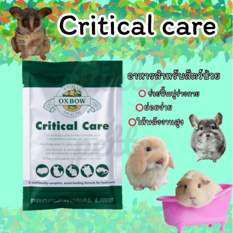 Critical care อาหารเสริม อาหารสัตว์ป่วย (26g)