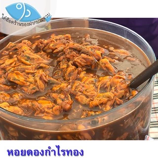 ไต๋ฮ๊อด หอยดองกำไรทอง (ขวดเล็ก) 180กรัม 4ขวด หอยแมลงภู่ดอง หอยดองแม่กลอง หอยดอง กำไรทอง อาหารทะเล