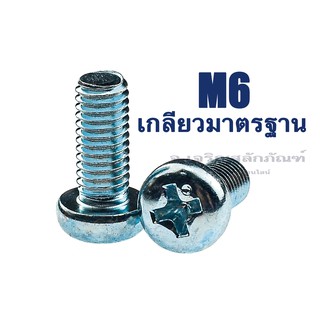 น็อตหัวกลมแฉกเหล็กชุบขาว ขนาด M6 (เบอร์ 10) ความยาว 10-80 (แพ็คละ 10 ตัว) น็อตหัวมน น็อตหัวแฉก น็อตเกลียวมิล