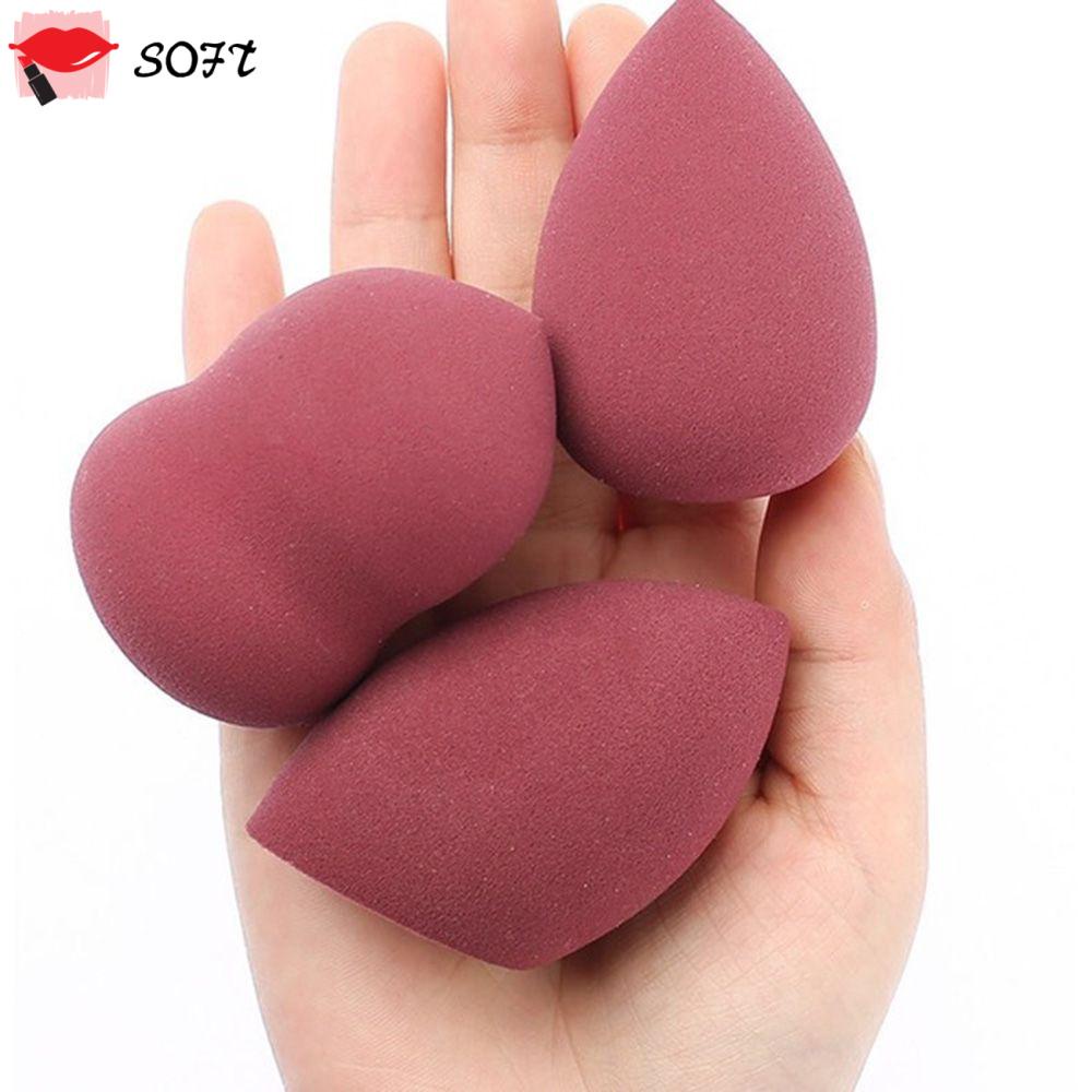 SHISEIDO Powder Puff No.123 พัฟ เส้นผ่านศุนย์กลาง 9cm. - pbcosmshop ...