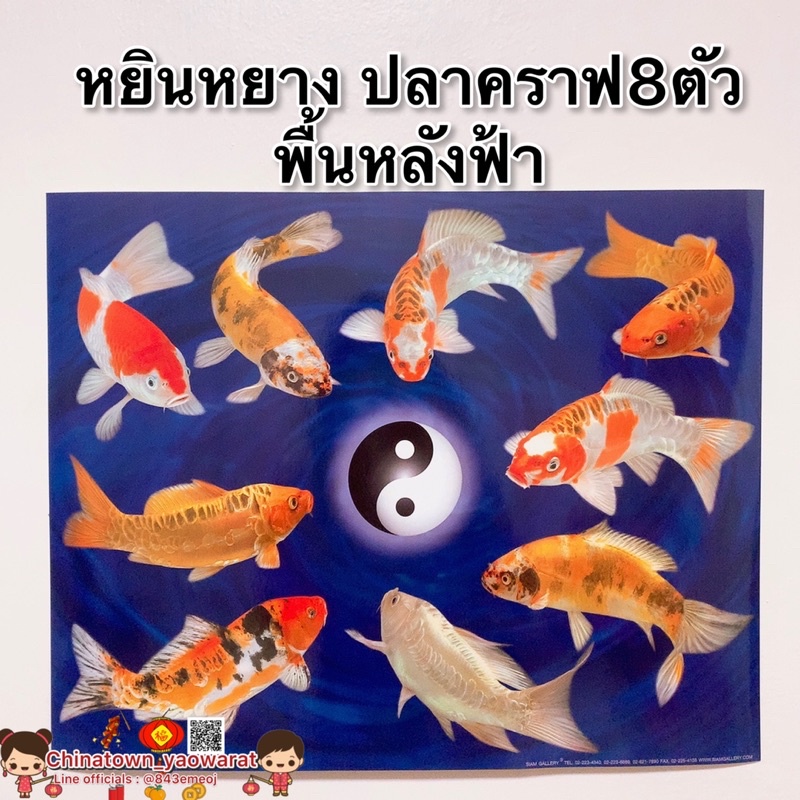My Image 22