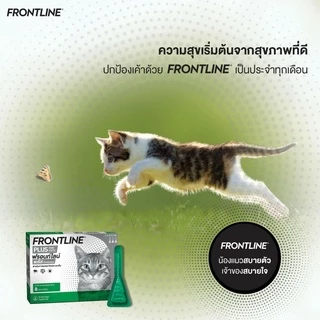 FRONTLINE PLUS - ฟรอนท์ไลน์ พลัส ยาหยดกำจัดเห็บหมัด สำหรับสุนัข และ แมว (3 หลอด)
