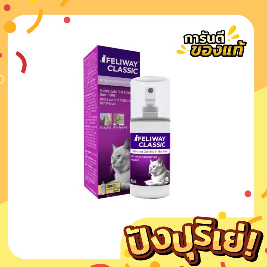 รูปภาพ 2