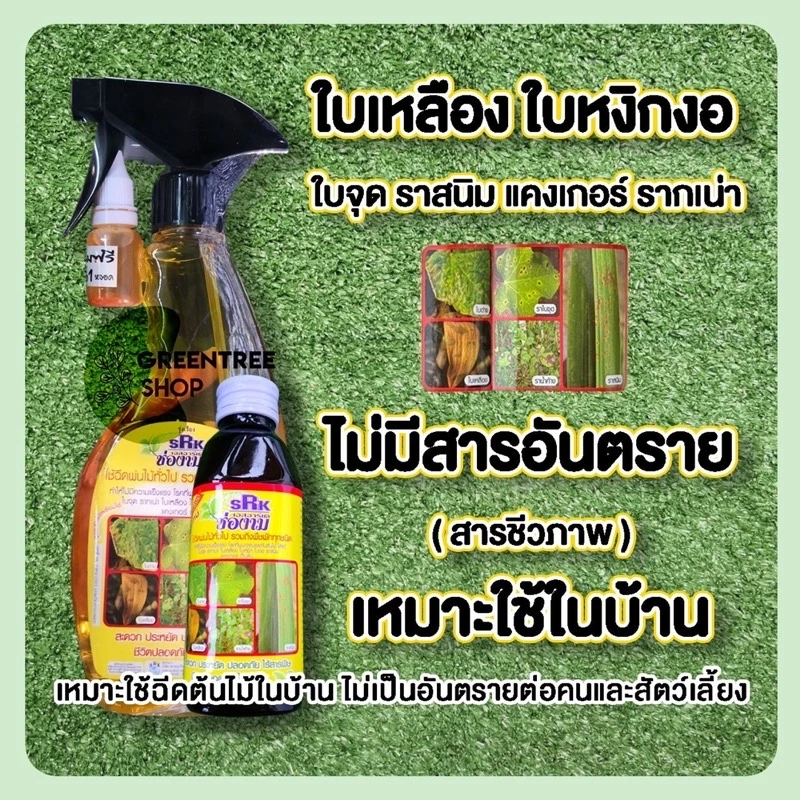 แก้ใบเหลือง ใบจุด ใบหงิกงอ รากเน่า แก้เชื้อรา ช่องาม(สารชีวภาพ) แก้โรค ใบจุด ราสนิม แคงเกอร์ รากเน่า