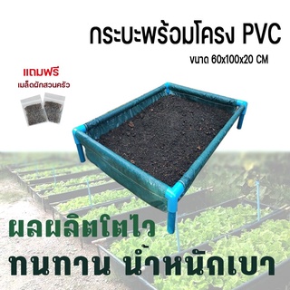 กะบะปลูกผักสำเร็จรูป พร้อมโครง PVC 1 นิ้ว ขนาด 60x100x20 cm