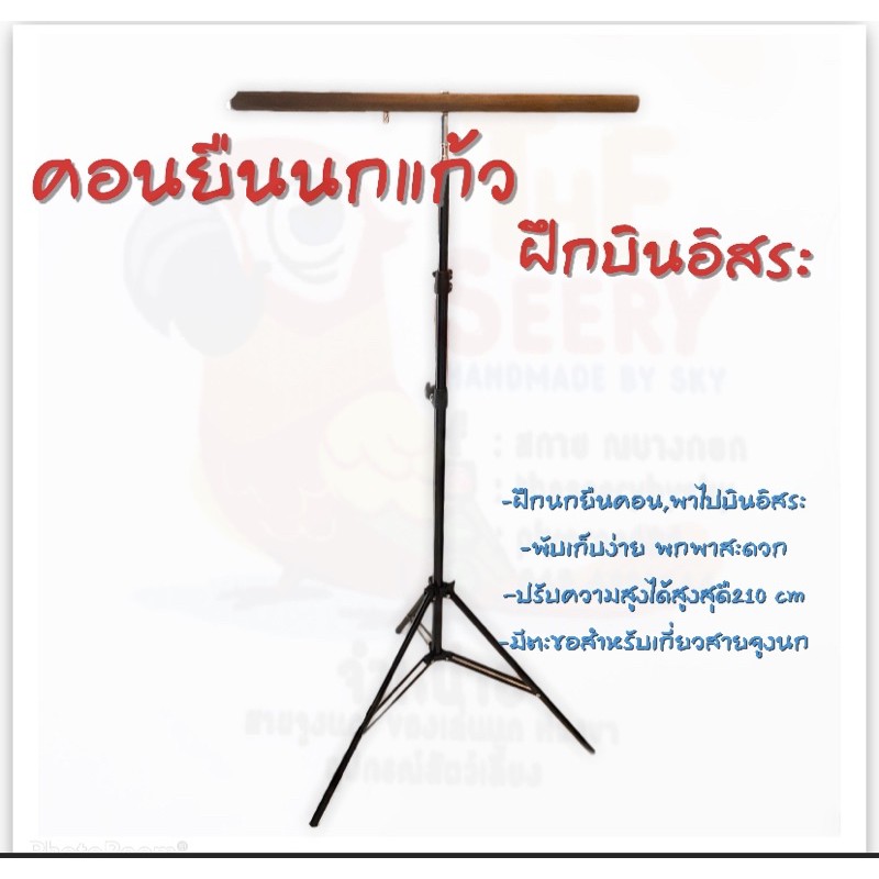 พร้อมส่ง คอนยืนนก คอนฝึกบินอิสระ ปรับความสูงได้ 2.1 M