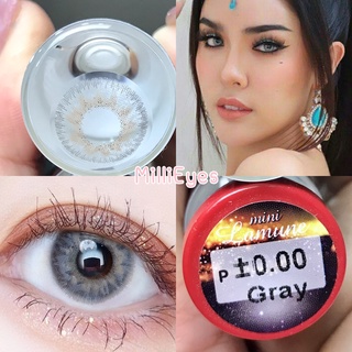 🍁สายฝอ ละมุนมาก Lamune 🍁 สวยปังไม่ไหว 𝐌𝐢𝐧𝐢𝐋𝐞𝐧𝐬 คอนแทคเลนส์ Pitchy lens ขายดีมาก สีเทา สีน้ำตาล