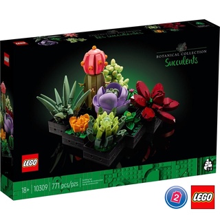 เลโก้ LEGO Exclusives 10309 Succulents