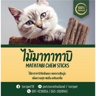 MATATABI ไม้มาทาทาบิ ไม้ขัดฟันแมว(🇹🇭สินค้าพร้อมส่ง🇹🇭)