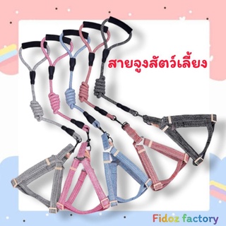 Fidoz​ factory​ สายจูงสัตว์​เลี้ยง​ รัดอกสุนัขและแมว​ เชือกจูงสุนัข​ สายจูงหมาใหญ่