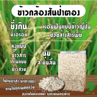 *ค่าส่งถูกที่สุด*ข้าวกล้องสันป่าตอง ปลอดสาร 1 กก.