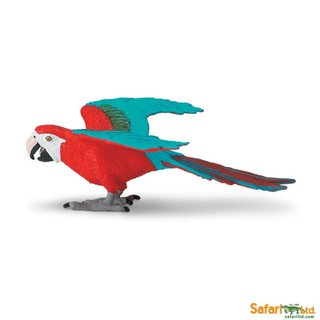 Safari Ltd. : SFR263929 โมเดลสัตว์ Green-winged Macaw