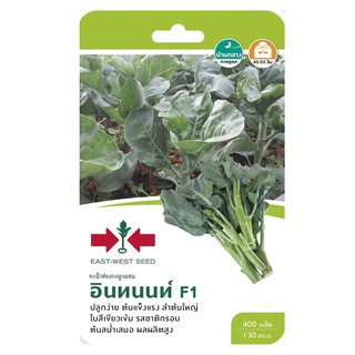 HONGKONG KALE SEED EAST-WEST SEED INTHANON F1 คะน้าฮ่องกง F1 อินทนนท์ ศรแดง เมล็ดพันธุ์ ปุ๋ยและเมล็ดพันธุ์ สวนและอุปกรณ์