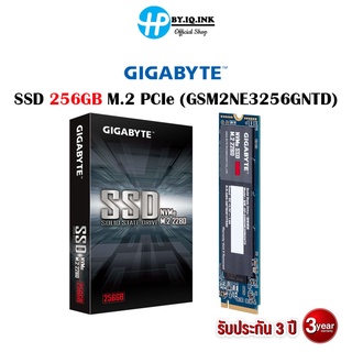 256 GB SSD M.2 PCIe GIGABYTE (GSM2NE3256GNTD) NVMe