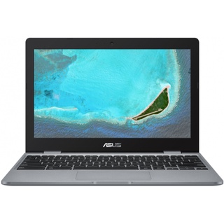 Notebook Asus ChromeBook (C223NA-GJ0100)