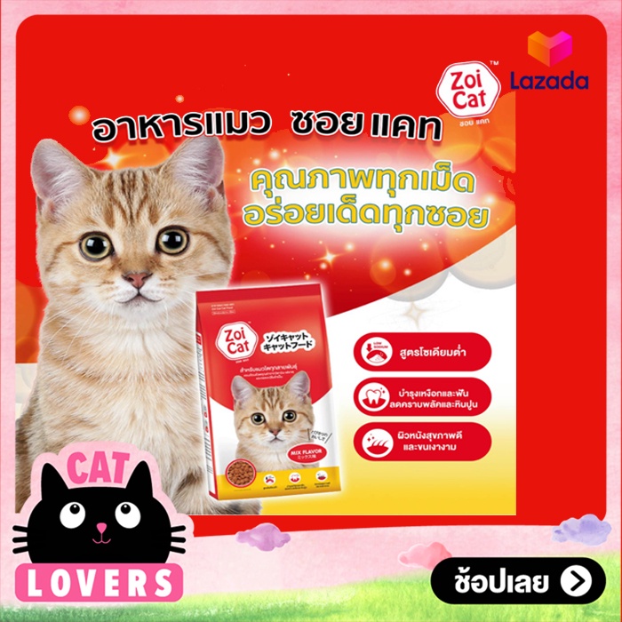 [1กระสอบ]Zoi Cat Cat Food Mix Flavor 20 kg./ซอย แคท อาหารสำหรับแมวโตทุกสายพันธุ์ รสรวม 20 กก. L8KI