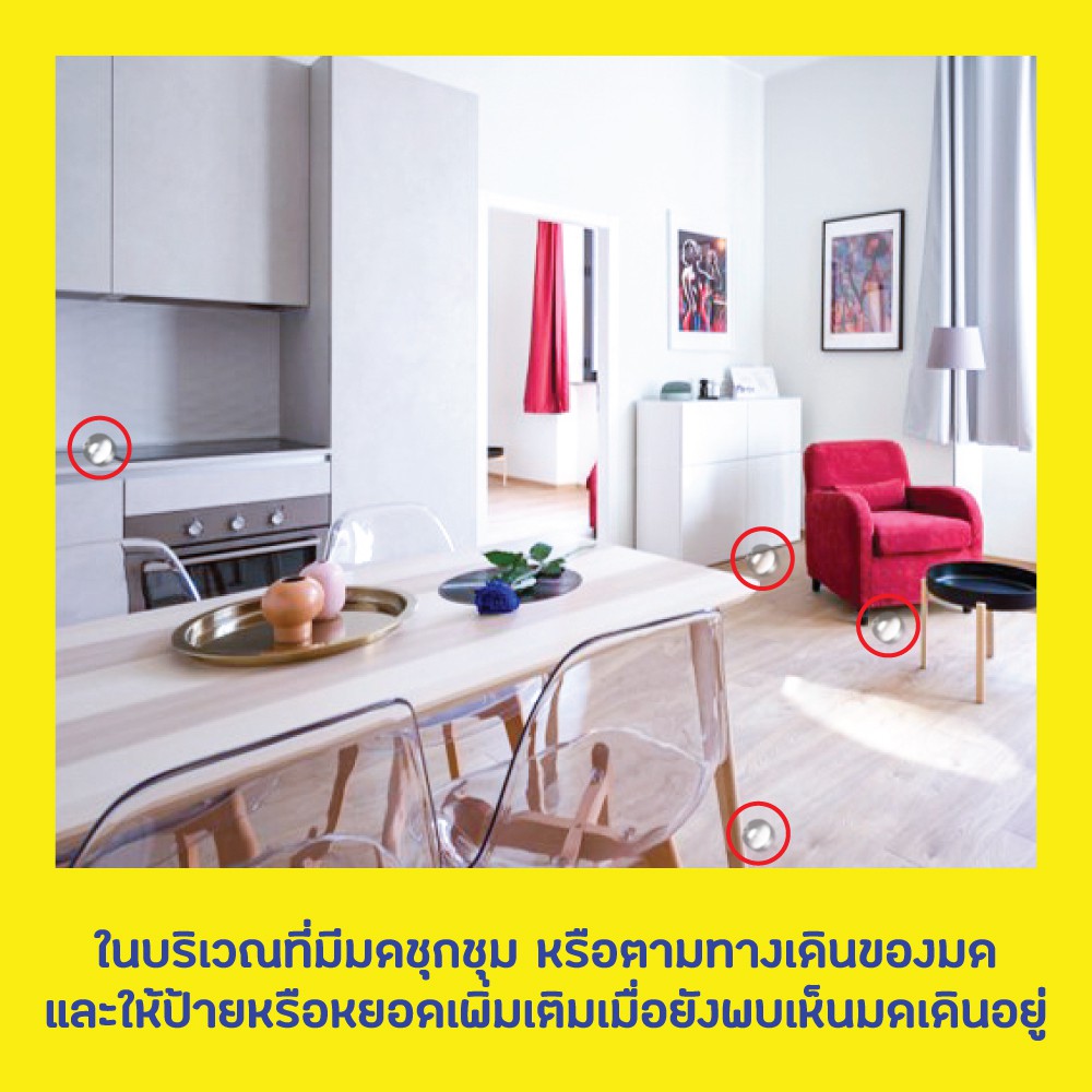 Quantum เจลกำจัดมด ควอนตั้ม 12 กรัม - 6