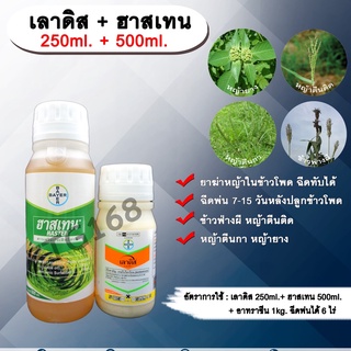 เลาดิส+ฮาสเทน 250ml.+ 500ml. เทมโปรไตรโอน กำจัดหญ้า วัชพืช ข้าวโพดผี ข้าวฟ่างผี ในไร่ข้าวโพด