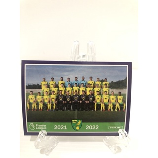 2021-22 Panini Premier League Stickers Norwich