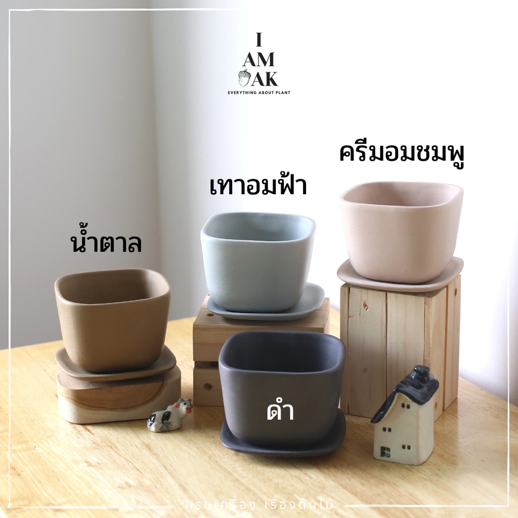 มุมมอง 2