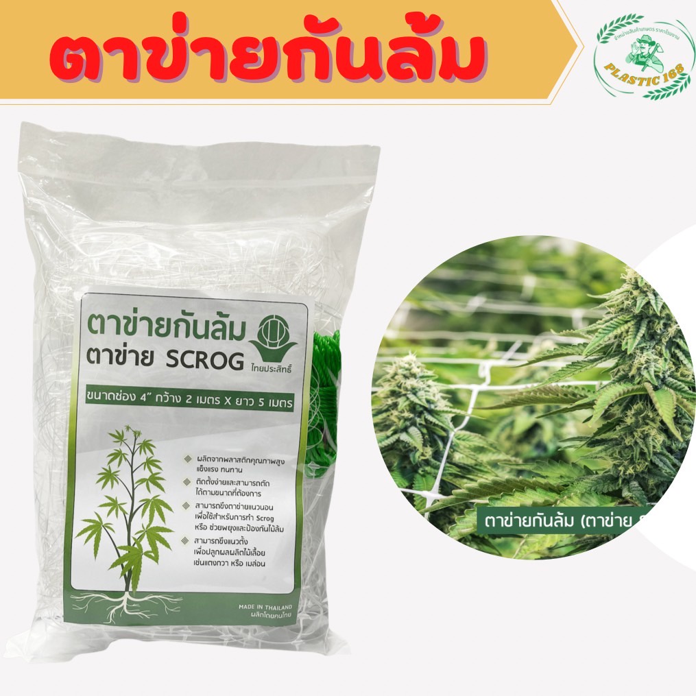 ตาข่ายScrog net  กันล้ม ใช้ปลูกต้นไม้ ค้างไม้เลื้อย ตาข่ายเอ็น ขนาด 2x5 เมตร ขนาดตา 4 นิ้ว (ยกกล่อง20ชิ้น)