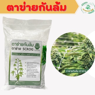 ตาข่ายScrog net ตาข่าย ปลูกต้นไม้ ค้างไม้เลื้อย ตาข่ายเอ็น ตาข่ายกันล้ม ขนาด 2x5 เมตร ขนาดตา 4 นิ้ว
