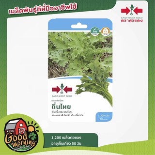 SORNDAENG 🇹🇭 ผักซอง ศรแดง S073# ผักกาดเขียวน้อย ถิ่นไท เมล็ดพันธุ์ เมล็ดพันธุ์ลูกผสม เมล็ดพันธุ์ผัก ผักสวนครัว ตราศรแดง