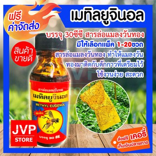 **ส่งฟรี**เมทิลยูจินอล บรรจุ 30ซีซี สารล่อแมลงวันทอง (Insect Lure) สารล่อแมลงวันทอง ทำให้แมลงวันทองมาติดกับดักกาว