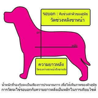 เสื้อชูชีพสุนัขระดับพรีเมียมรุ่น-ทีนอนโต พร้อมแถบสะท้อนแสง มีทีคล้องสายจูง เหมาะสำหรับว่ายน้ำและนั่งเรือ