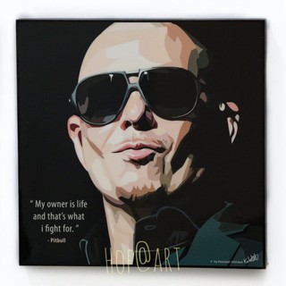 Pitbull พิตบูล นักร้อง แร็ปเปอร์ Rapper รูปภาพ​ติดผนัง pop art กรอบรูป แต่งบ้าน ของขวัญ ของสะสม