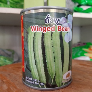 ถั่วพู,Winged Bean(เจณิญโตเร็วทนโรคติดฝักดก)ขนาด 100 กรัม