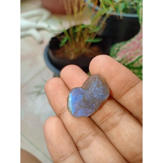 Labradorite | ลาบราโดไรต์ 🔮🧙 #LBs2#หินดิบ "หินพ่อมด" เล่นแสงเหลือบน้ำเงิน 💙 หินธรรมชาติ หินสะสม ขนาด 2.3×1.5×0.9cm