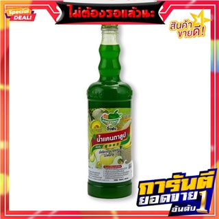 ติ่งฟง น้ำสควอช แคนตาลูป 760 มล. x 12 ขวด Ding Fong Cantaloup Squash 760 ml x 12 Bottles