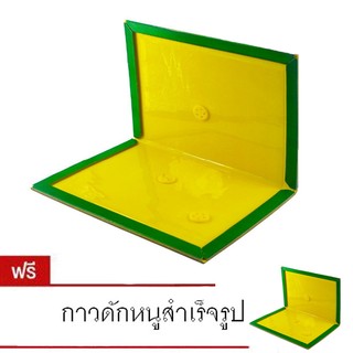 กาวดักหนูสำเร็จรูป (ซื้อ 1 แถม 1)