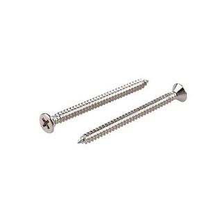 อุปกรณ์ยึดติด สกรูเกลียวปล่อย TF 8X2 นิ้ว 25 ตัว Screws, Nuts &amp; Washers