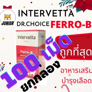 ยกกล่อง! ถูกที่สุด! Dr.Choice Ferro-B บรรจุ 100 เม็ด อาหารเสริมเพื่อช่วยรักษาภาวะโลหิตจางสำหรับสุนัขและแมว