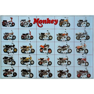 โปสเตอร์ รูปถ่าย รถมอเตอร์ไซค์ ฮอนด้า HONDA Monkey Bike POSTER 24”X35” Inch JAPANESE Mini Motorbikes V7