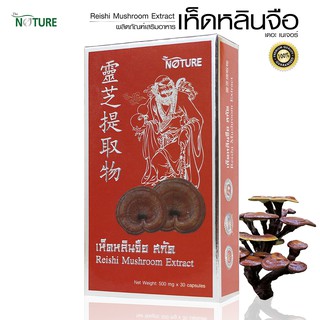 เห็ดหลินจือ สกัด เดอะ เนเจอร์ Reishi Mushroom Extract THE NATURE