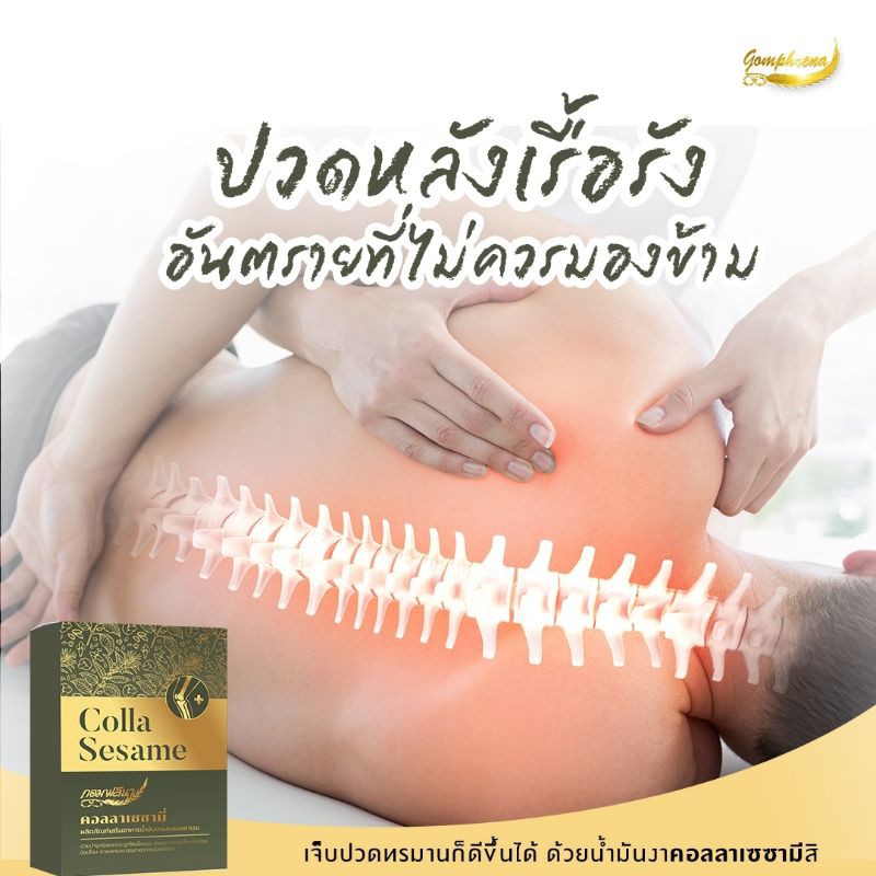 คอลลาเซซามี่ คอลลาเจนไทพ์ทู UC-II