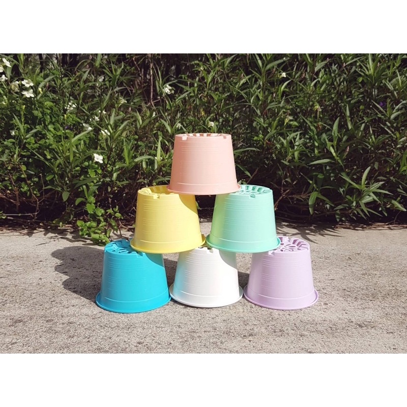 (พร้อมส่ง) กระถางสี กระถางพาสเทล กระถางต้นไม้ 6 นิ้ว ทรงกลม แพ็ค12ใบ คละ6สี