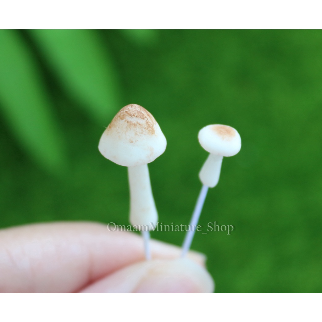 เห็ดจิ๋ว เห็ดดินปั้น เห็ด เห็ดตูม เห็ดบาน #ของจิ๋ว #ของตกแต่ง