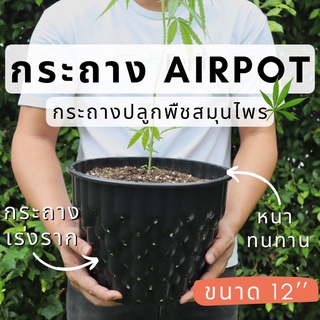 กระถางAirpot ขนาด12” กระถางปลูกกัญ กระถางเร่งราก พืชสมุนไพร ไม้ใบ ต้นไม้ทั่วๆไป