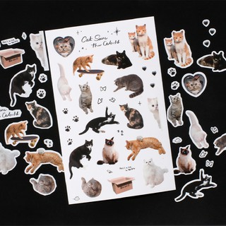 BeonD Object cat sticker