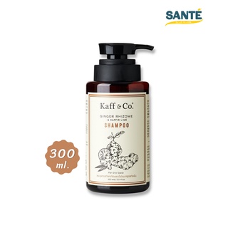 [300 ML.] แชมพูสารสกัดเหง้าขิงและมะกรูดสกัดเย็น Kaff &amp; Co. Ginger Rhizome &amp; Kaffir Lime Shampoo สำหรับหนังศีรษะมัน