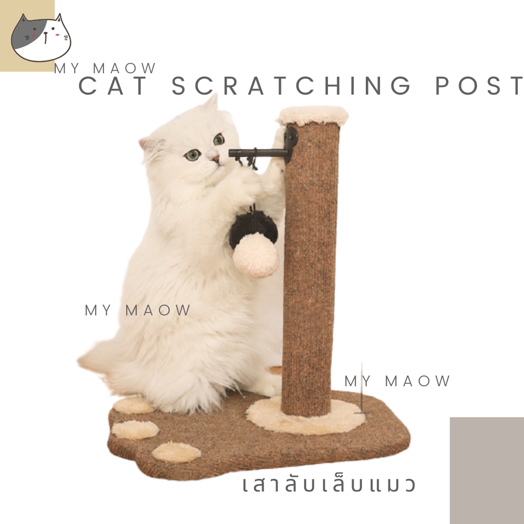 MM CAT // ของเล่นแมว เสาลับเล็บรูปเท้าแบบ2 เสาลับเล็บแมว ที่ลับเล็บแมว